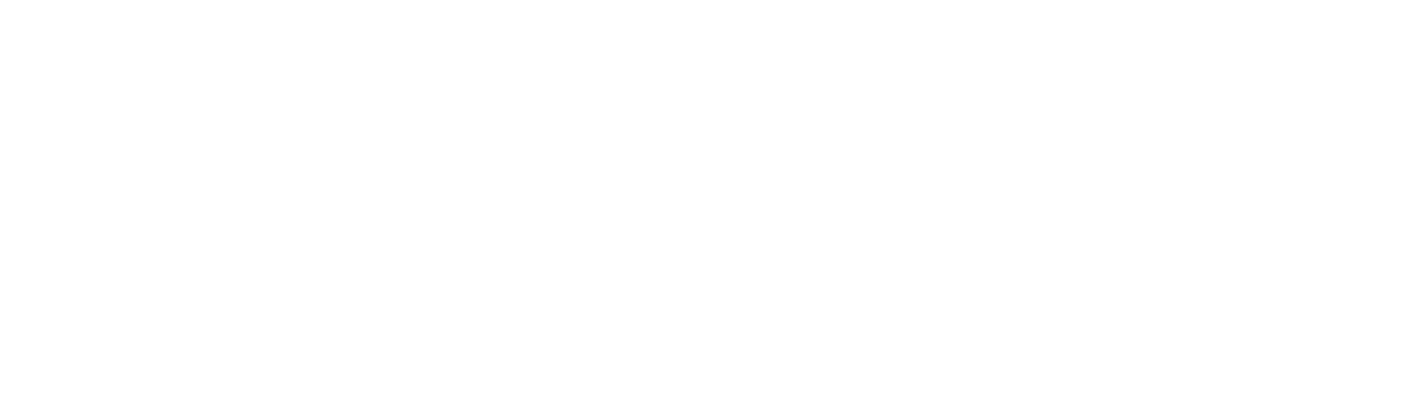 Binary Fintech Group